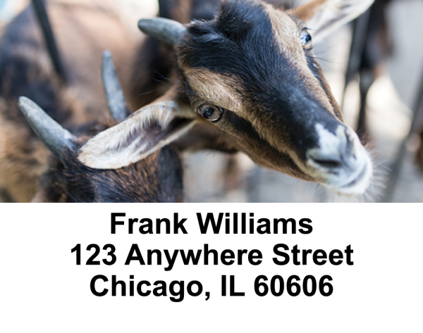 Goats Address Labels