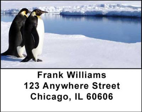 Penguins Address Labels