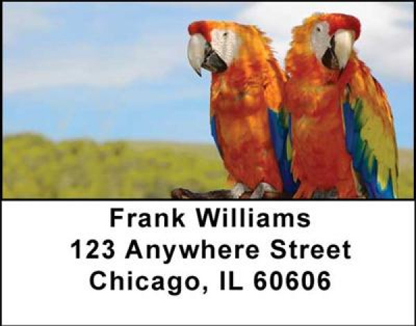 Parrots Address Labels