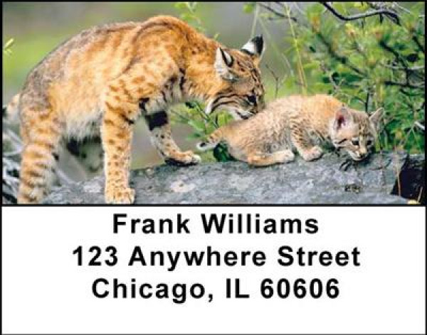 Bobcats Address Labels