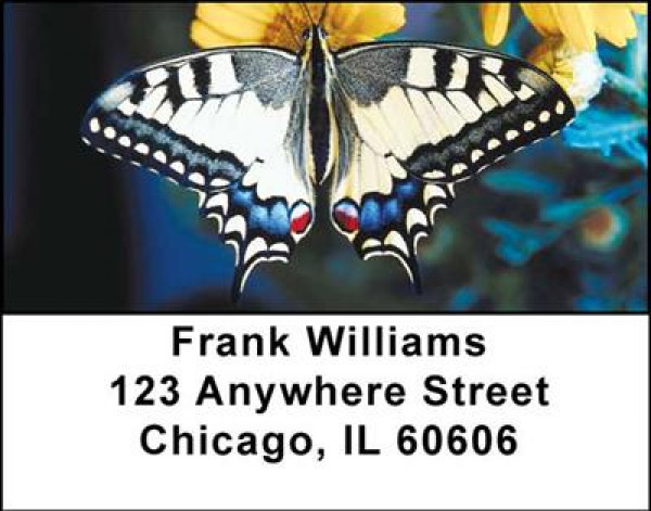 More Butterflies in Nature Address Labels