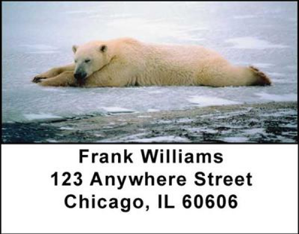 Arctic Bliss Address Labels