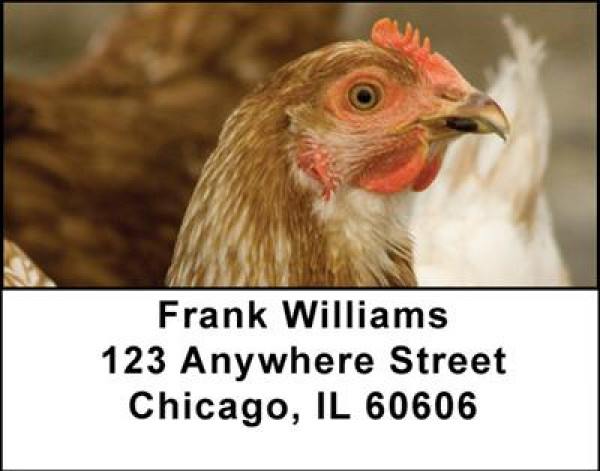 Chickens Address Labels