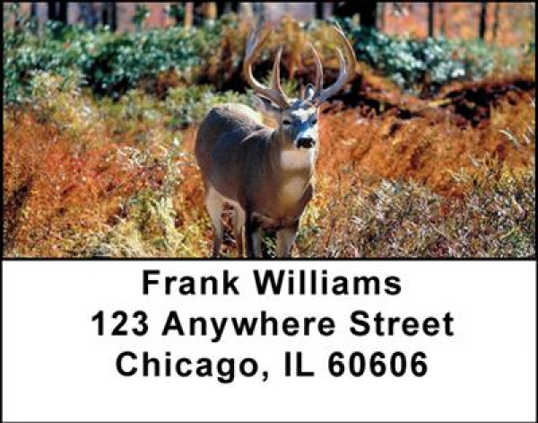 Deer Address Labels