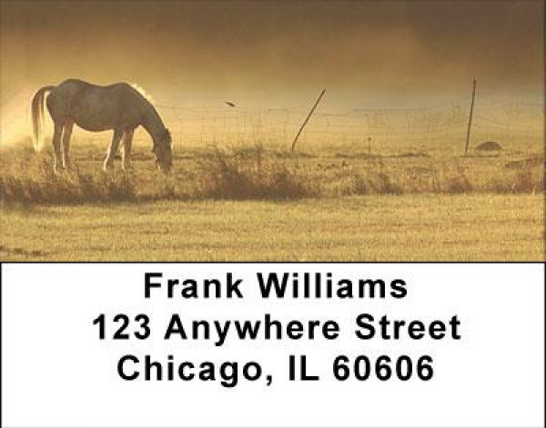 Early Morning Address Labels