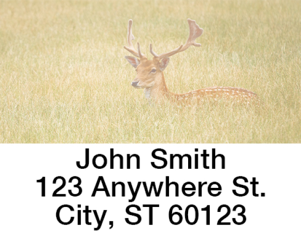 Deer in the Wild Address Labels