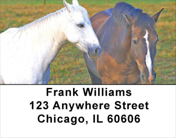 Scenic Horse Address Labels