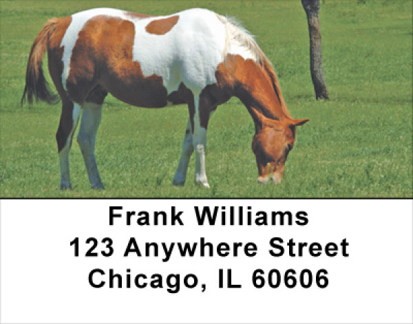 Grazing Green Pastures Horse Address Labels
