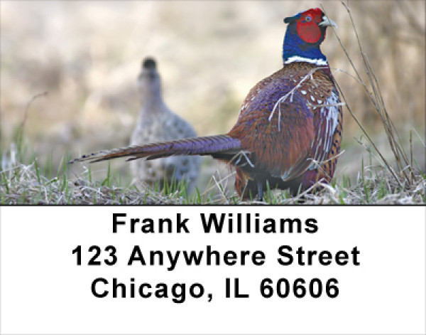Pheasants In Winter Address Labels