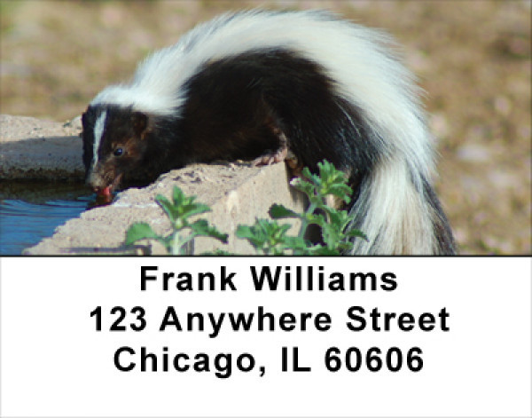 Skunk Address Labels