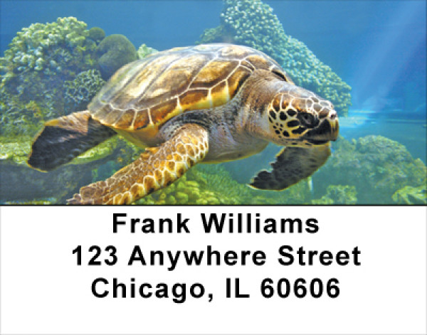 Swimming Sea Turtles Address Labels