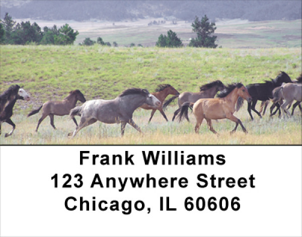 Spanish Mustang Address Labels