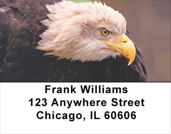 American Eagles Address Labels