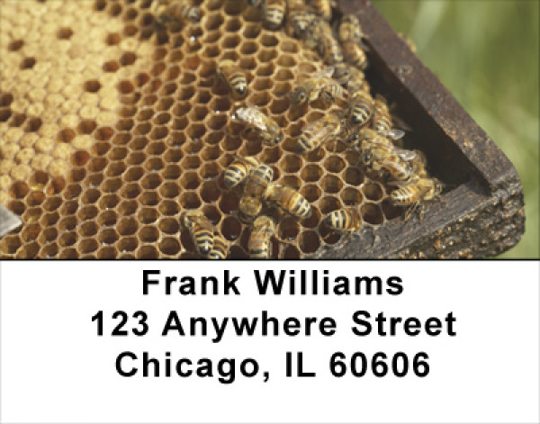 Honey Bees Address Labels