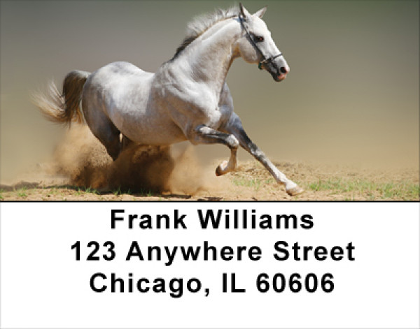 Playful Address Labels