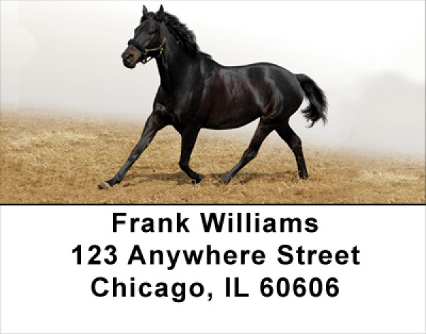 Black Stallions Address Labels