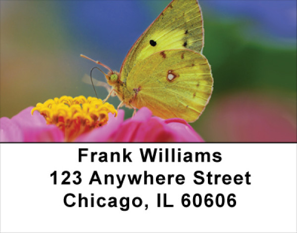 Butterfly Dreams Address Labels