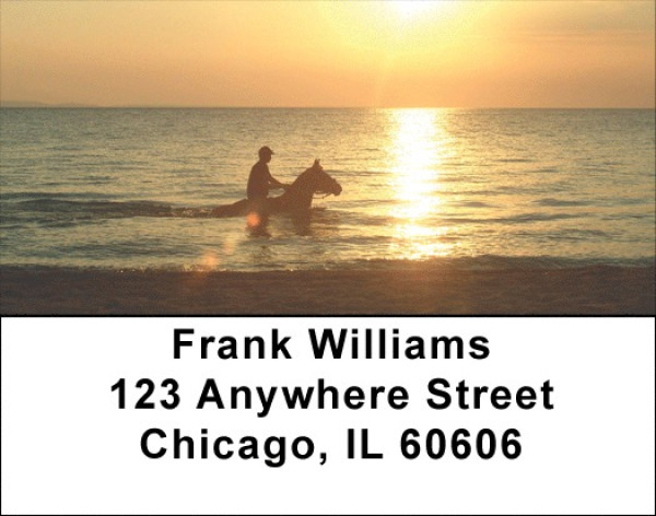 Sunrise Horses Address Labels