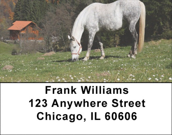Grazing Freedom Address Labels