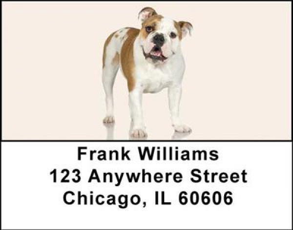 Bulldogs Address Labels