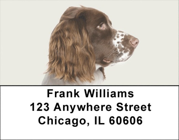 More English Spaniels Address Labels