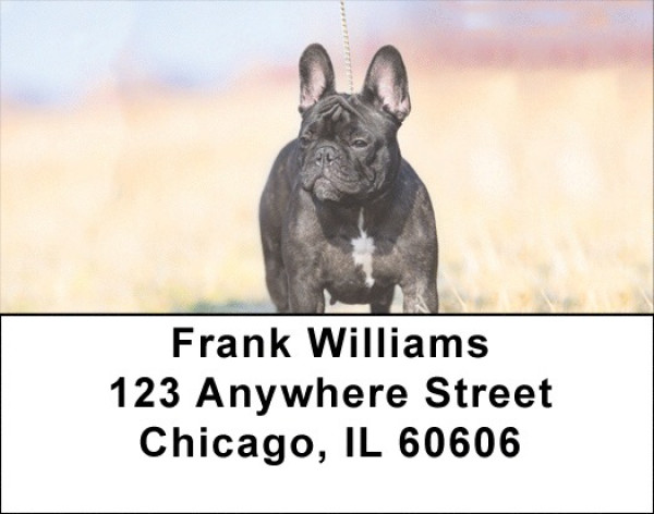 French Bulldog Address Labels