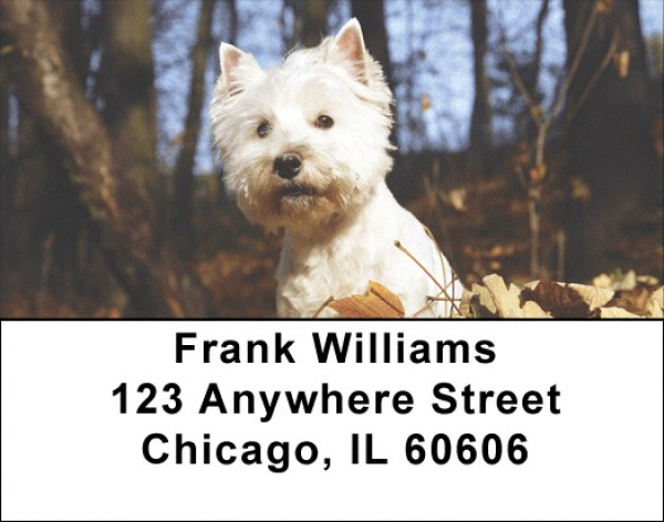 West Highland White Terrier Address Labels