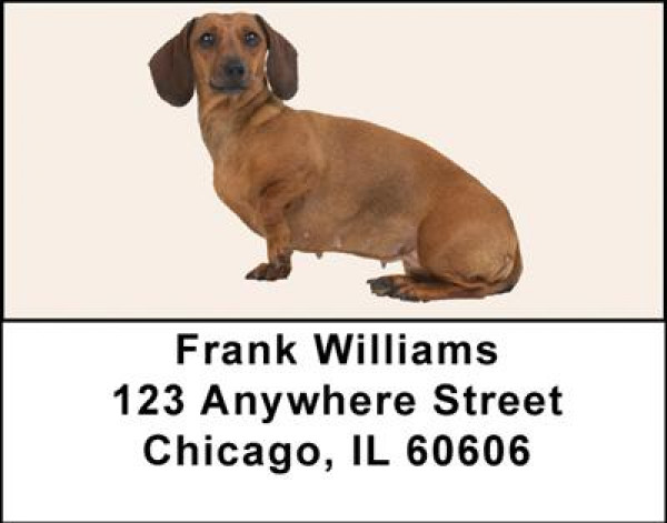 Dachshunds Address Labels