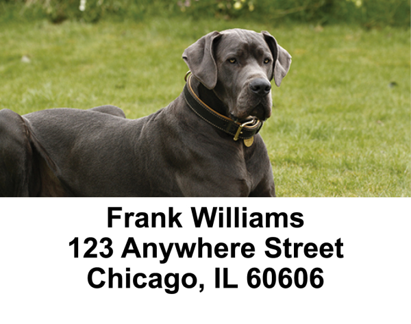 Great Danes Address Labels