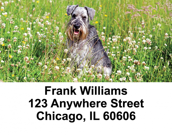 Schnauzers Address Labels