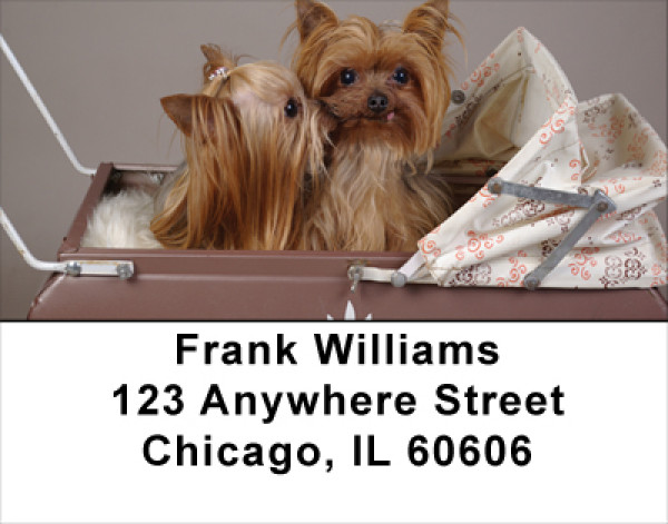 More Yorkies Address Labels
