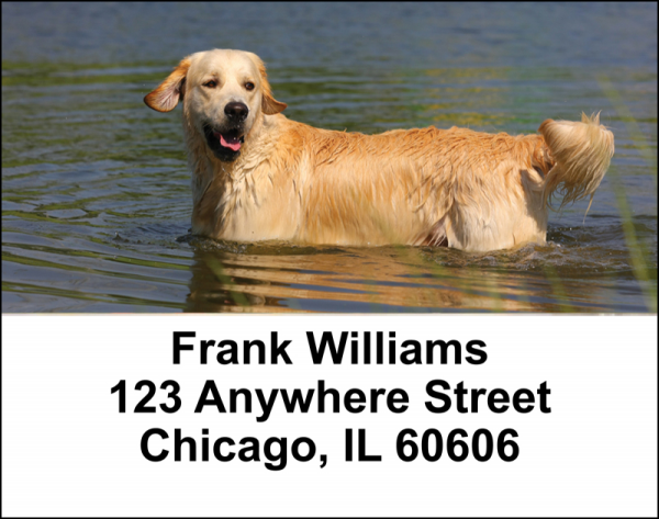 Golden Retriever Address Labels