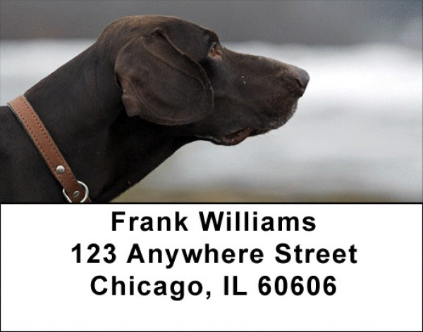 Grand German Shorthair Pointer Address Labels