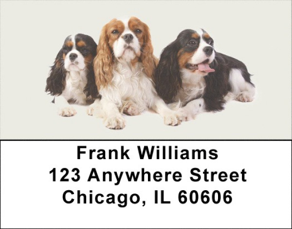 Cavalier Spaniels Address Labels