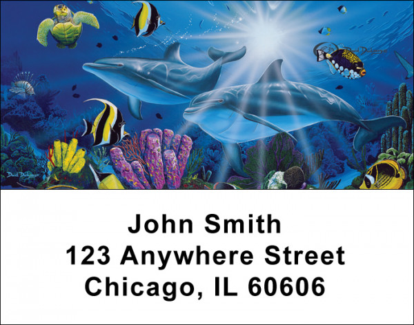 Dolphins Address Labels by David Dunleavy