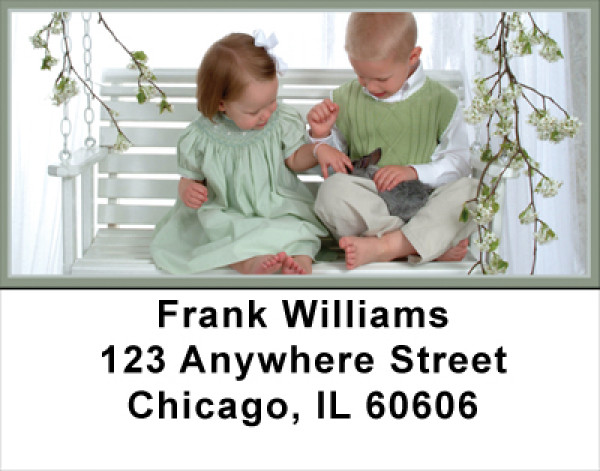 Delightful Discoveries Address Labels