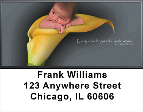 Baby New Beginnings Address Labels