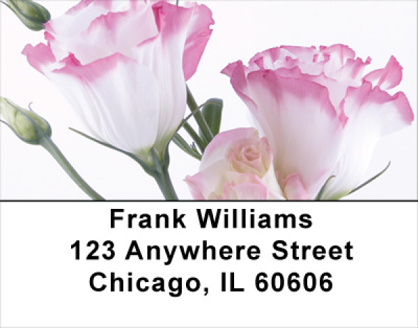 Everyday Is A Spring Day Address Labels