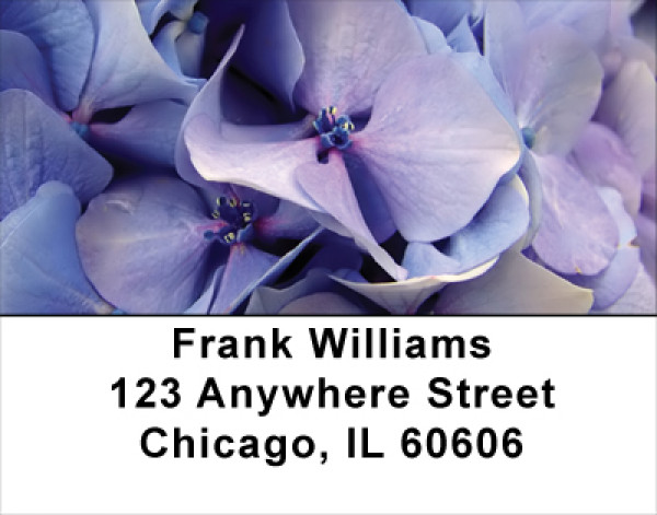 Hydrangea Address Labels