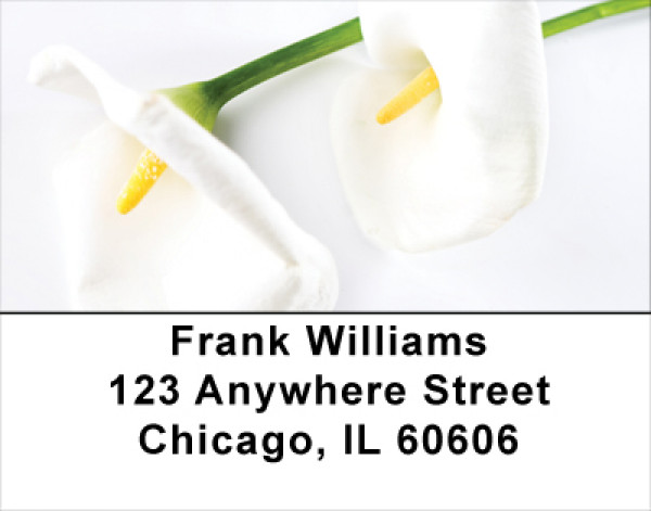 Calla Lilies Address Labels