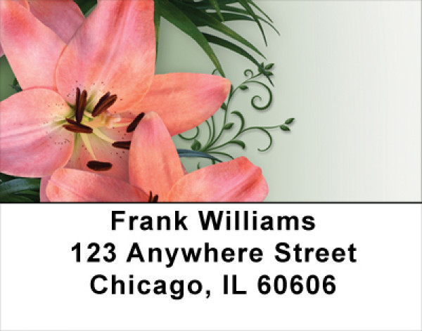 Day Lilies Delight Address Labels