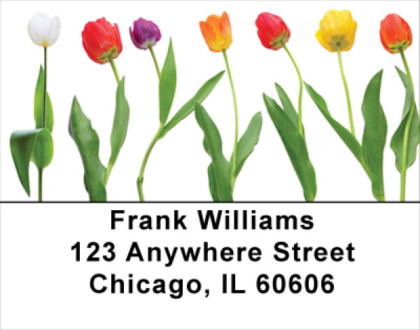 Spring Line Up Address Labels