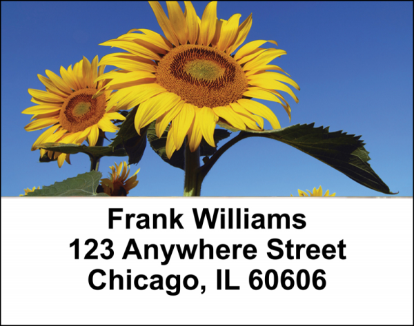 Joyous Sunflowers Address Labels