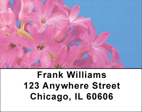 Natures Fireworks Address Labels