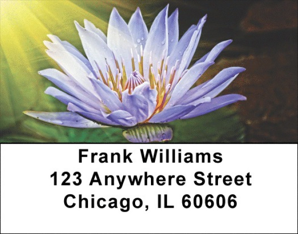 Beautiful Lotus Flowers Address Labels