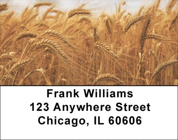 Harvest Time Address Labels