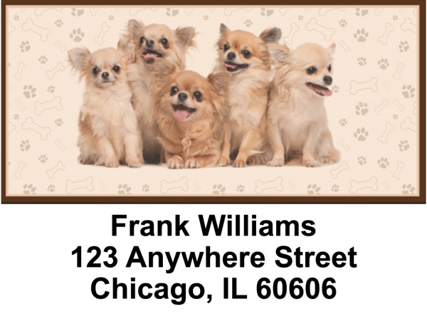 Charming Chihuahuas Address Labels