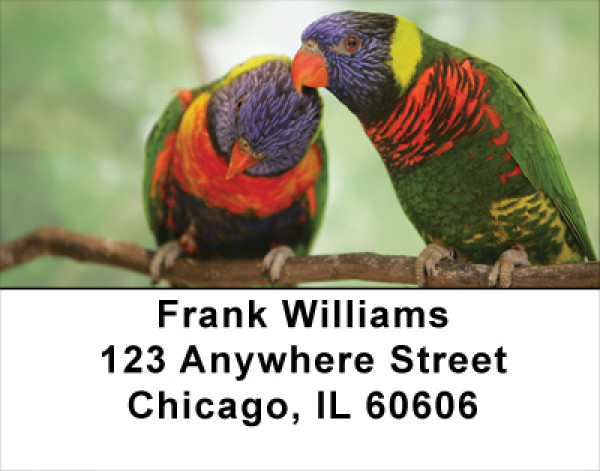 Love Birds In The Tropics Address Labels