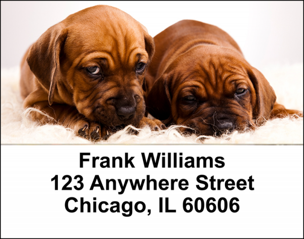 Puppy Love Address Labels