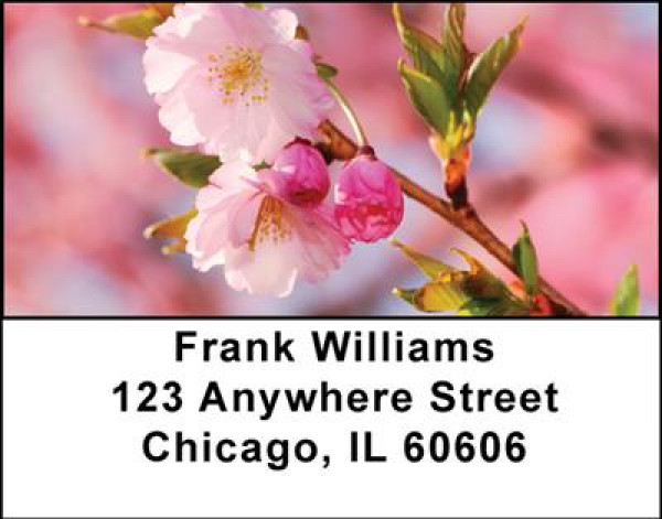 Cherry  Blossoms Address Labels